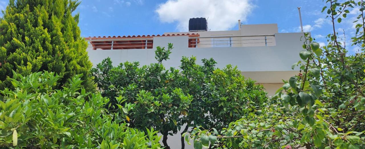 Villa Elli Hersonissos  Esterno foto